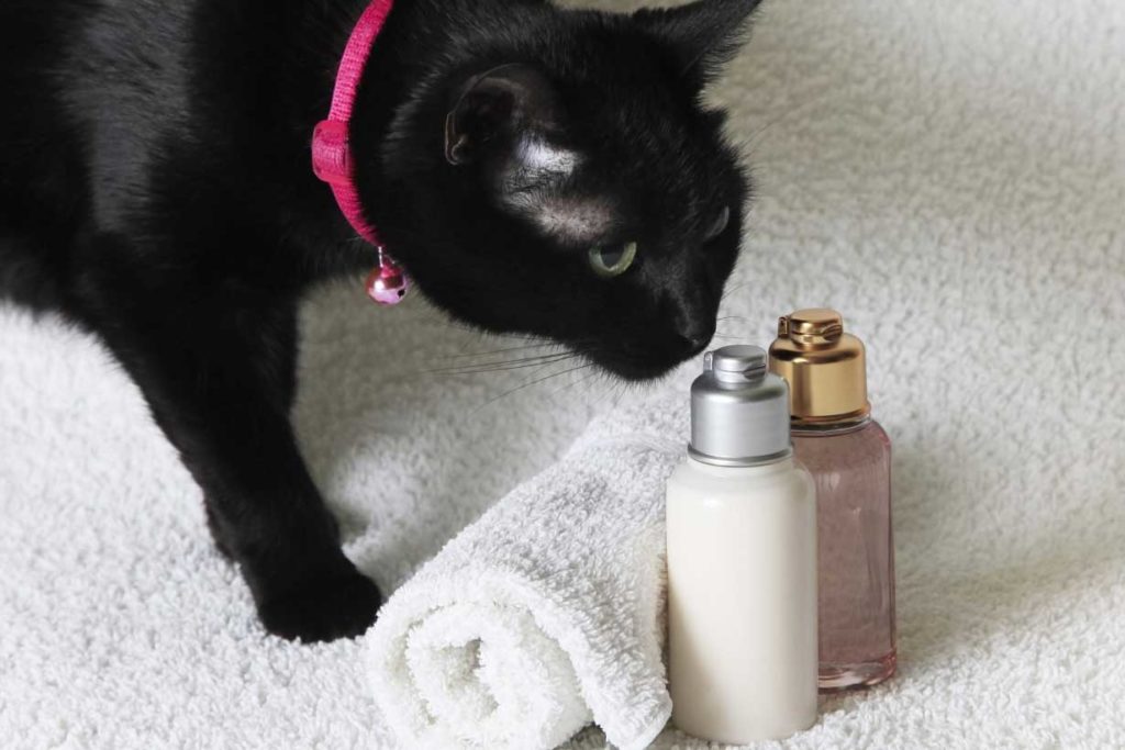 Essential Oils are for Animals Too!